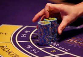 Dashboard riwayat multi-bet dan hasil taruhan di alphaslot777